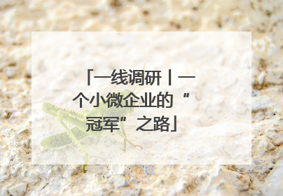 一线调研丨一个小微企业的“冠军”之路