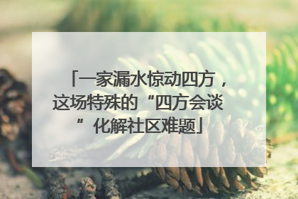 一家漏水惊动四方，这场特殊的“四方会谈”化解社区难题