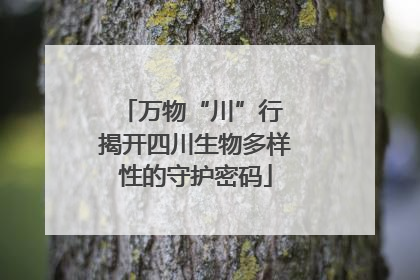 万物“川”行 揭开四川生物多样性的守护密码