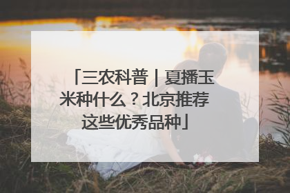 三农科普｜夏播玉米种什么？北京推荐这些优秀品种