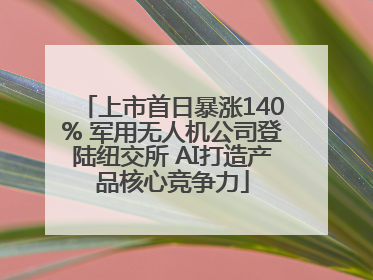 上市首日暴涨140% 军用无人机公司登陆纽交所 AI打造产品核心竞争力