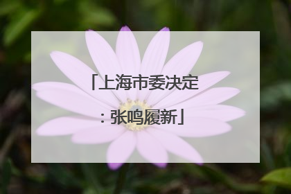 上海市委决定：张鸣履新