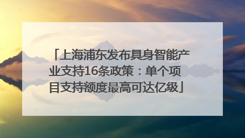 上海浦东发布具身智能产业支持16条政策：单个项目支持额度最高可达亿级