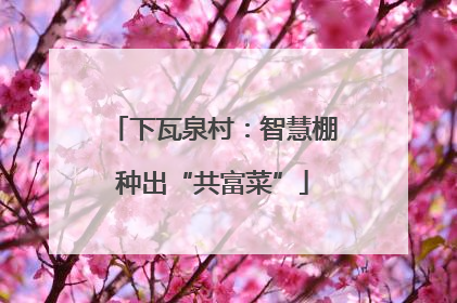 下瓦泉村：智慧棚种出“共富菜”