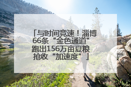 与时间竞速！淄博66条“金色通道”跑出156万亩夏粮抢收“加速度”