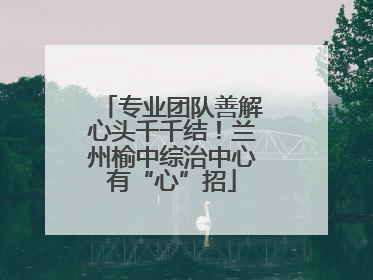 专业团队善解心头千千结！兰州榆中综治中心有“心”招