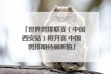 世界男排联赛（中国西安站）将开赛 中国男排期待展新貌
