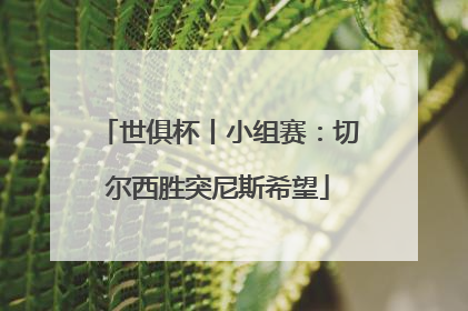 世俱杯丨小组赛：切尔西胜突尼斯希望