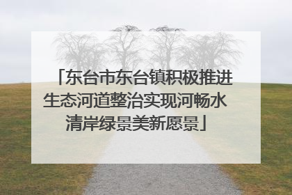 东台市东台镇积极推进生态河道整治实现河畅水清岸绿景美新愿景