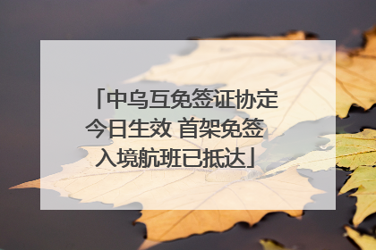 中乌互免签证协定今日生效 首架免签入境航班已抵达