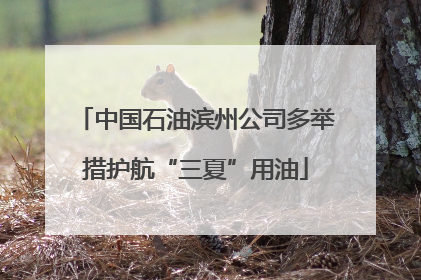中国石油滨州公司多举措护航“三夏”用油