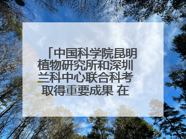 中国科学院昆明植物研究所和深圳兰科中心联合科考取得重要成果 在神农架发现两种“国保”级兰花