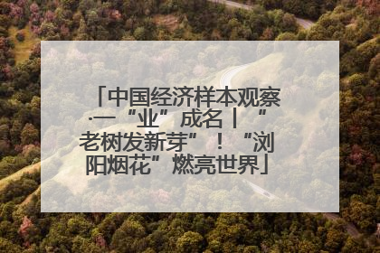 中国经济样本观察·一“业”成名丨“老树发新芽”！“浏阳烟花”燃亮世界