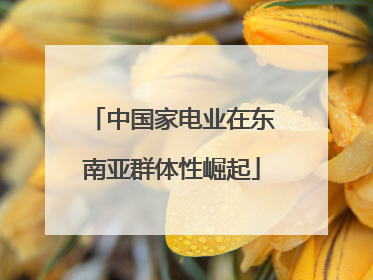 中国家电业在东南亚群体性崛起