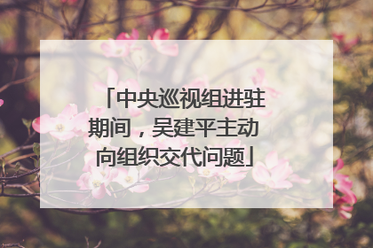 中央巡视组进驻期间，吴建平主动向组织交代问题