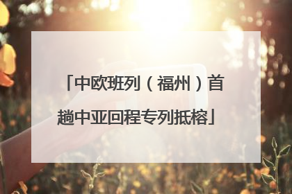中欧班列（福州）首趟中亚回程专列抵榕