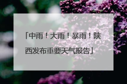中雨！大雨！暴雨！陕西发布重要天气报告