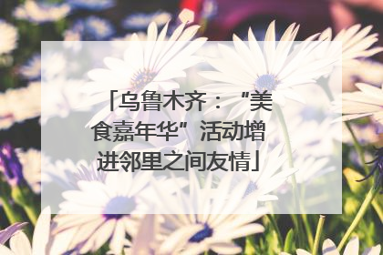 乌鲁木齐：“美食嘉年华”活动增进邻里之间友情