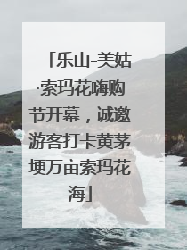 乐山-美姑·索玛花嗨购节开幕，诚邀游客打卡黄茅埂万亩索玛花海