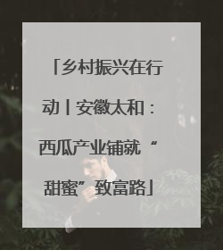 乡村振兴在行动丨安徽太和：西瓜产业铺就“甜蜜”致富路