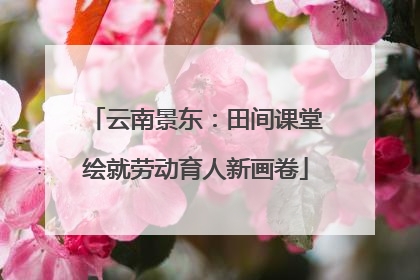 云南景东：田间课堂绘就劳动育人新画卷