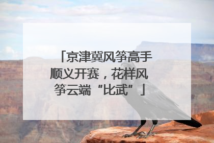 京津冀风筝高手顺义开赛，花样风筝云端“比武”