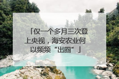 仅一个多月三次登上央视，海安农业何以频频“出圈”
