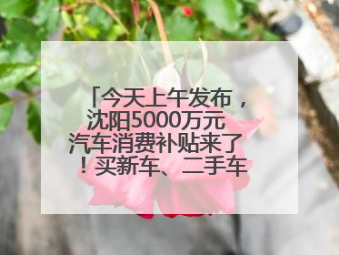 今天上午发布，沈阳5000万元汽车消费补贴来了！买新车、二手车都能领！