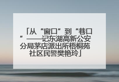 从“窗口”到“巷口”——记东湖高新公安分局茅店派出所梧桐苑社区民警樊艳玲