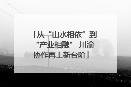 从“山水相依”到“产业相融” 川渝协作再上新台阶