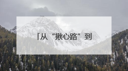 从“揪心路”到“连心路”，政协委员牵线解民忧