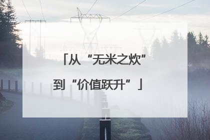 从“无米之炊”到“价值跃升”