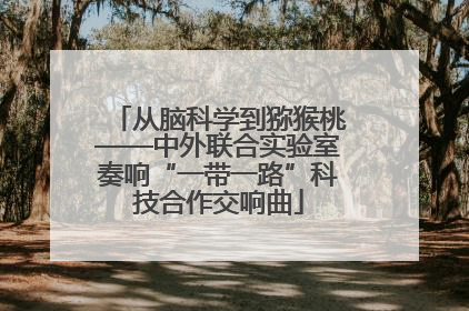 从脑科学到猕猴桃——中外联合实验室奏响“一带一路”科技合作交响曲