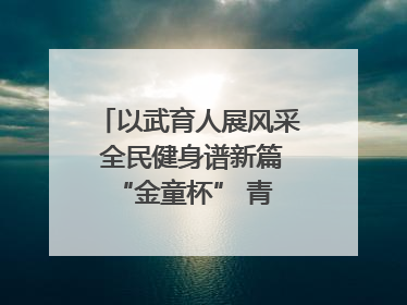 以武育人展风采 全民健身谱新篇 “金童杯” 青少年散打搏击邀请赛圆满落幕