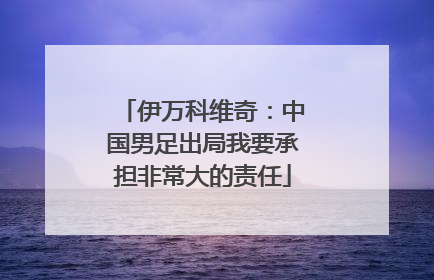 伊万科维奇：中国男足出局我要承担非常大的责任