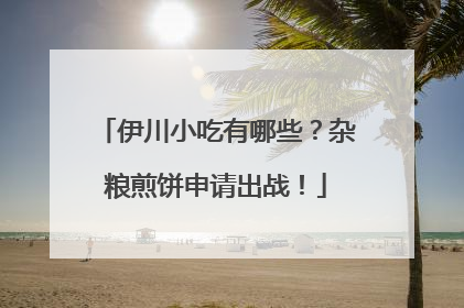 伊川小吃有哪些？杂粮煎饼申请出战！