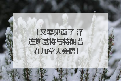 又要见面了 泽连斯基将与特朗普在加拿大会晤