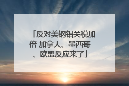 反对美钢铝关税加倍 加拿大、墨西哥、欧盟反应来了
