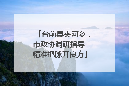 台前县夹河乡：市政协调研指导 精准把脉开良方