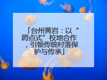 台州黄岩：以“蹲点式”校地合作，引领传统村落保护与传承