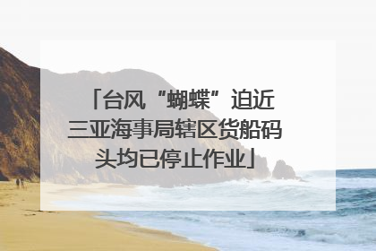 台风“蝴蝶”迫近 三亚海事局辖区货船码头均已停止作业