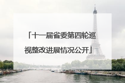十一届省委第四轮巡视整改进展情况公开
