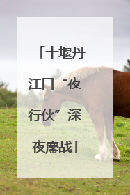 十堰丹江口“夜行侠”深夜鏖战