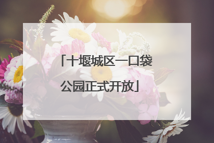 十堰城区一口袋公园正式开放