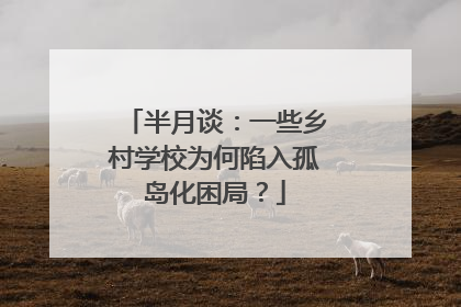 半月谈：一些乡村学校为何陷入孤岛化困局？