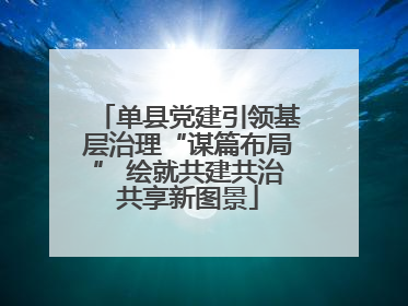 单县党建引领基层治理“谋篇布局” 绘就共建共治共享新图景