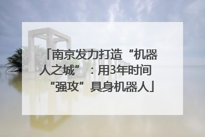 南京发力打造“机器人之城”：用3年时间“强攻”具身机器人