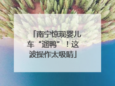 南宁惊现婴儿车“遛鸭”！这波操作太吸睛