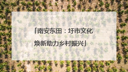 南安东田：圩市文化焕新助力乡村振兴