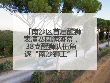 南沙区首届醒狮表演赛圆满落幕，38支醒狮队伍角逐“南沙狮王”